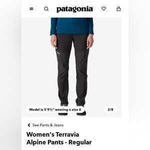 Patagonia Terravia Alpine Pants